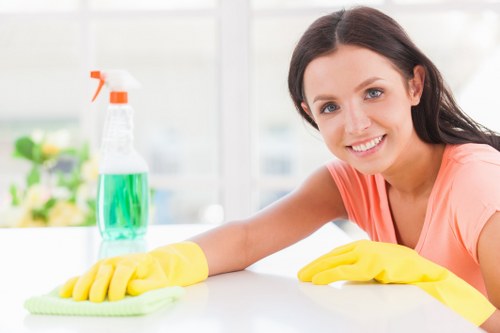 Professional oven cleaning service for a Lambeth home kitchen