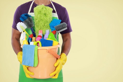 Professional carpet cleaning equipment and treated flooring in a domestic setting