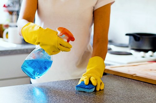 Professional regular cleaning tasks in a Lambeth kitchen and bathroom