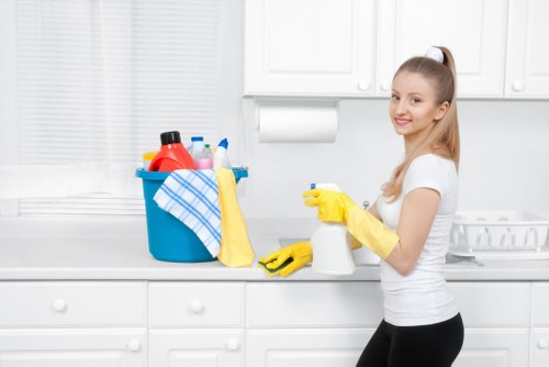 Mattress deodorising service for a Lambeth property