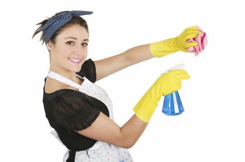 Local gutter cleaning service for a mixed-use building in Lambeth