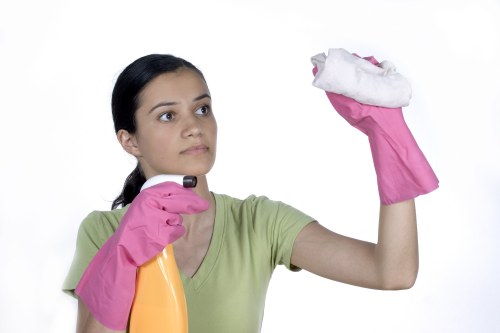 Local cleaners working in a Lambeth apartment block