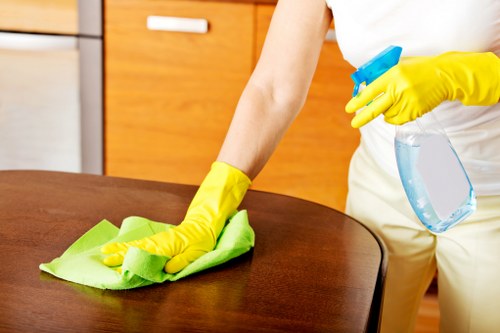 Professional carpet cleaning equipment removing deep dirt