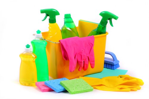Technician using professional carpet cleaning equipment indoors